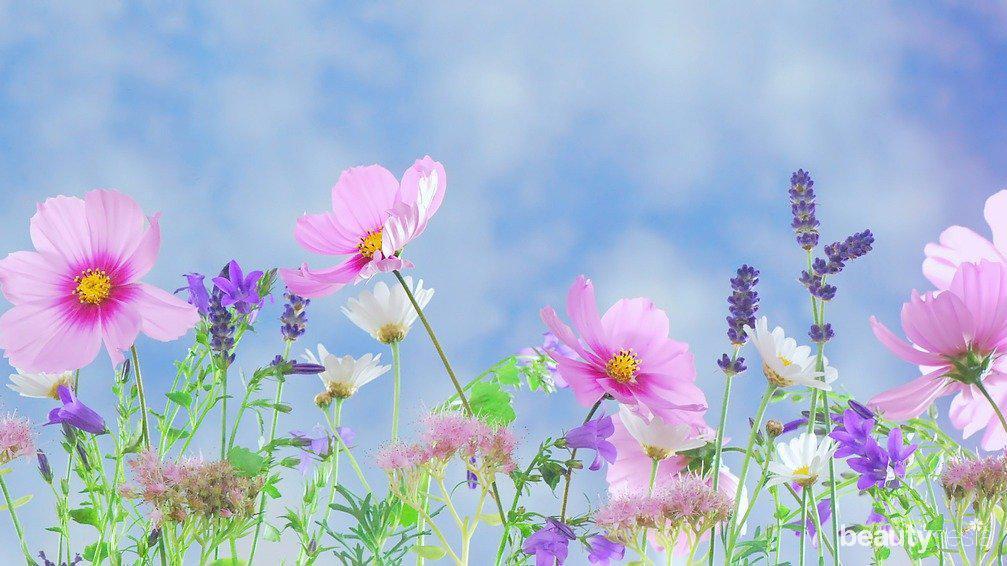 Cara Mengurangi Stres Dengan Bunga